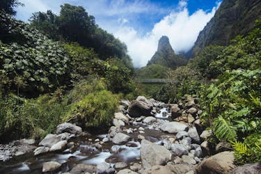 Iao Valley & Upcountry Farm half-day private tour